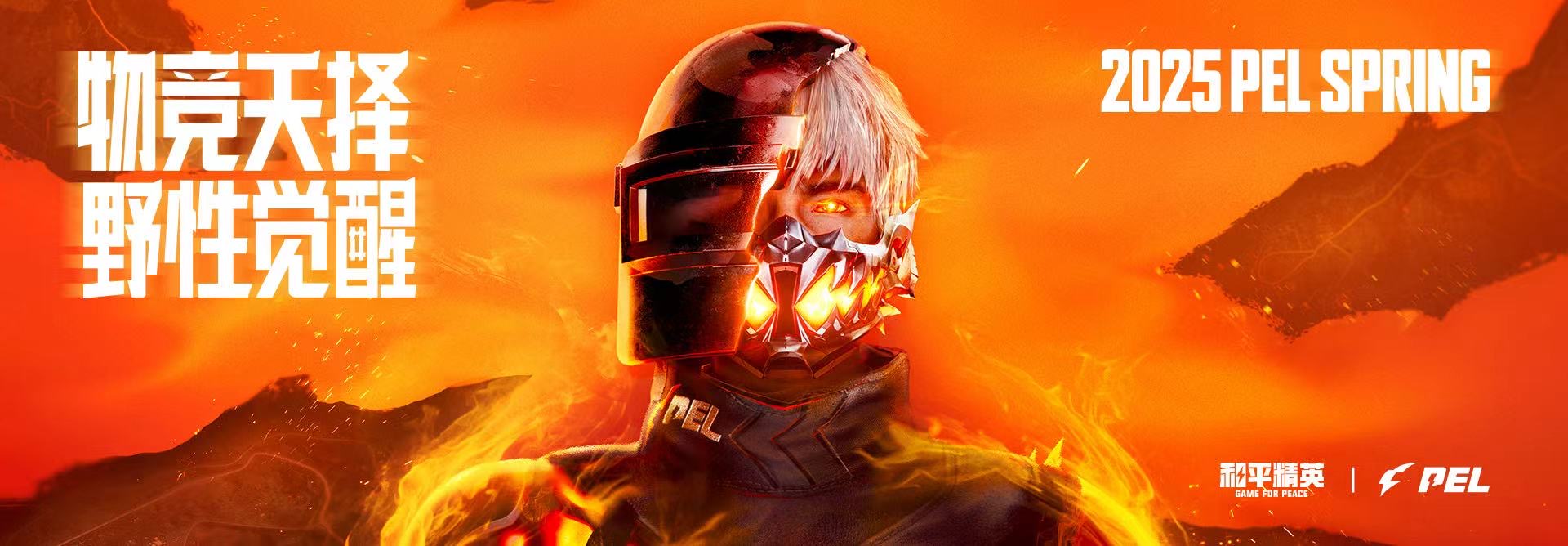 和平精英辅助【小飞侠】